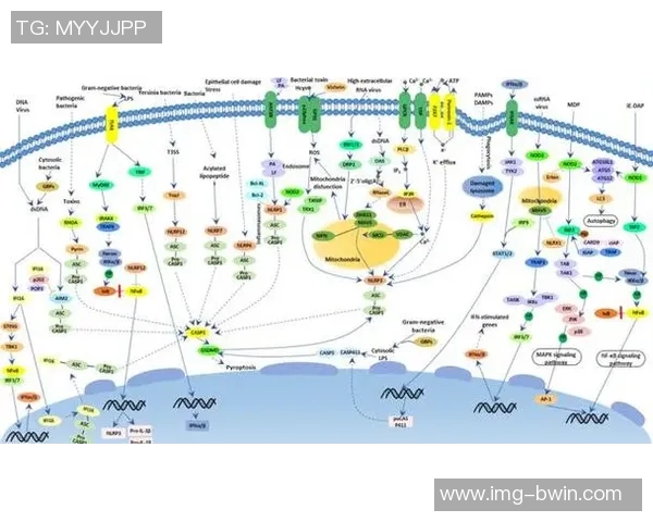 英国足球队在奥运会上的辉煌历程与未来展望分析